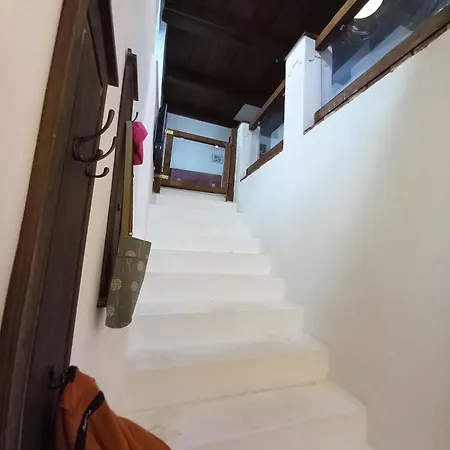 Kiefer Biała Spiska